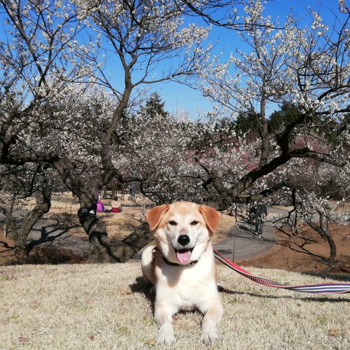 B7d804f6 f665 4c62 959c 6c02cf71a86c 1581406014978