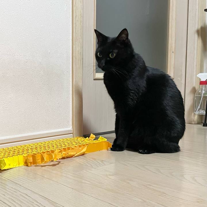 B7d81675 cab8 4133 998b 86a9adbf56c5 1738931127568