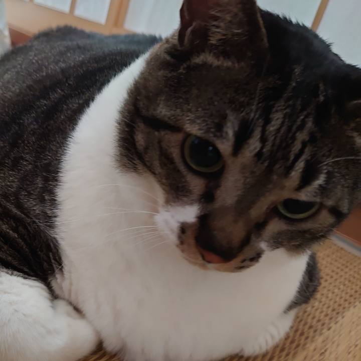 B7d83f4e 9fc5 459c b275 09d9f8205c28 1594875432899