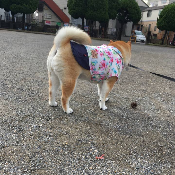 B7d899df 8496 4ee2 aef8 f4f60c16764a 1569195957094