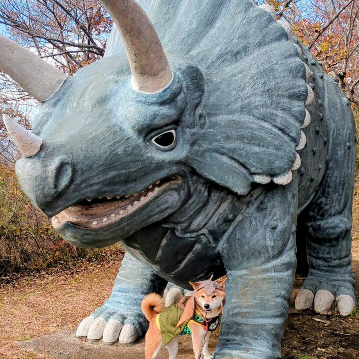 B7d8dc90 024f 4cbc 8d42 c2bb1e8c4807 1766120036386