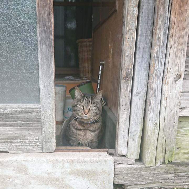 B7d8eaf1 d073 4c11 98c6 7536290af5ea 1654478782436