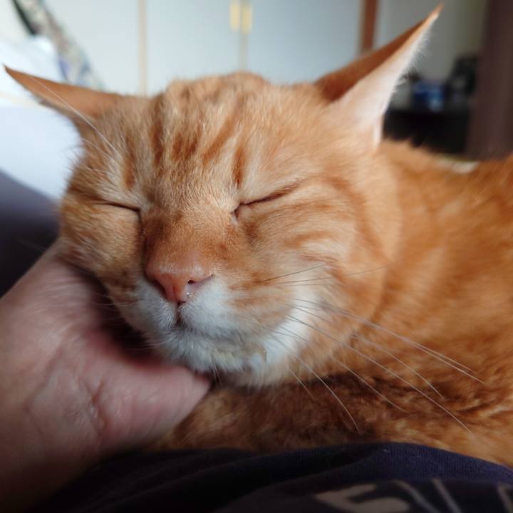 B7d8f142 8280 460c a2d2 0a391834cbc9 1760753468256