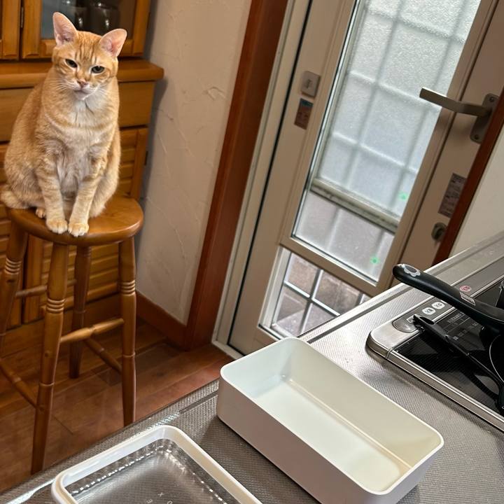 B7d90677 1e02 4a22 a8a7 5304e5a6d73a 1681939494604