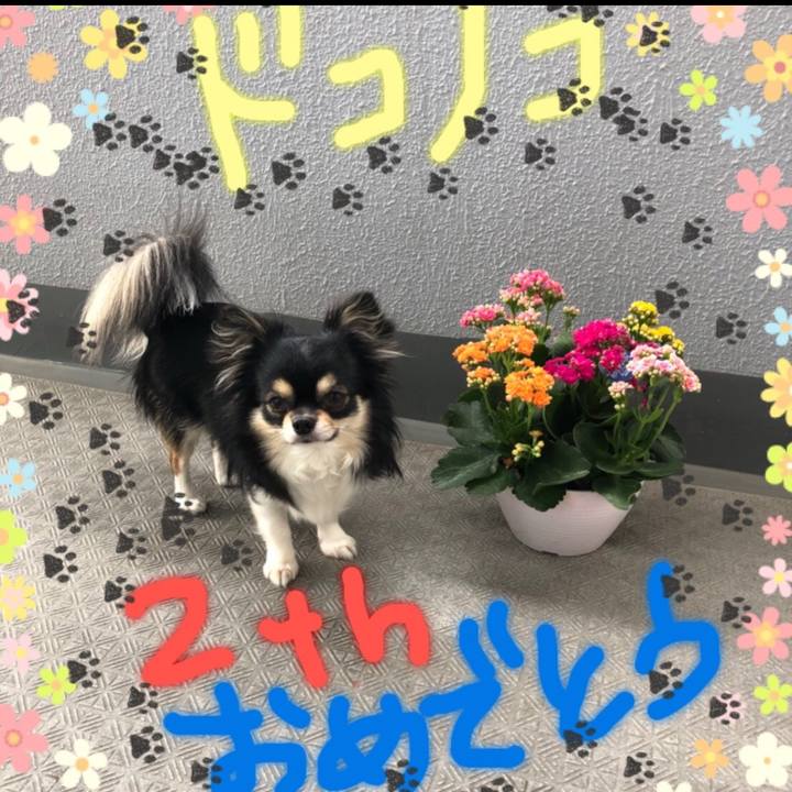 B7d92955 1226 4cfa 8eb9 6bae77d52ec5 1781174872595