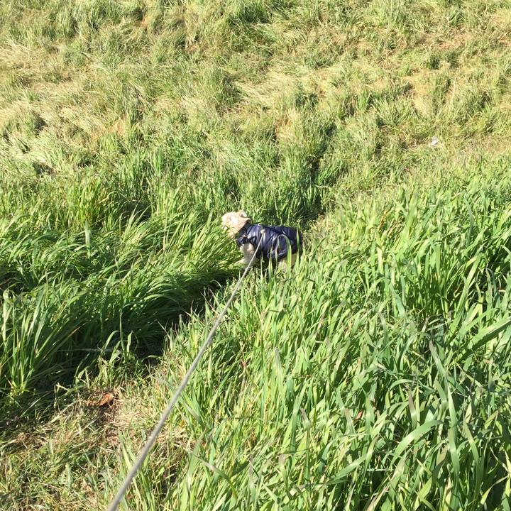 B7d933fb 3fc0 4fdb 846c 356ce906028d 1549090956915