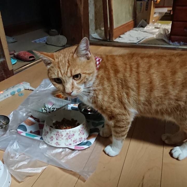 B7d994a2 b8b5 4aee 84a5 3ca43c5254e5 1597485463565