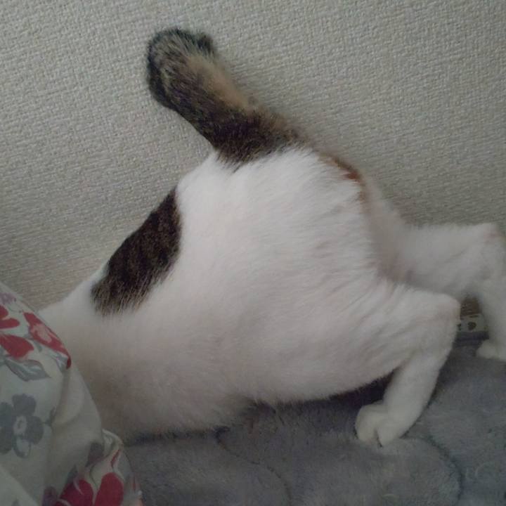 B7d9b775 6ec2 46f8 b697 52a457adc0df 1679266185225