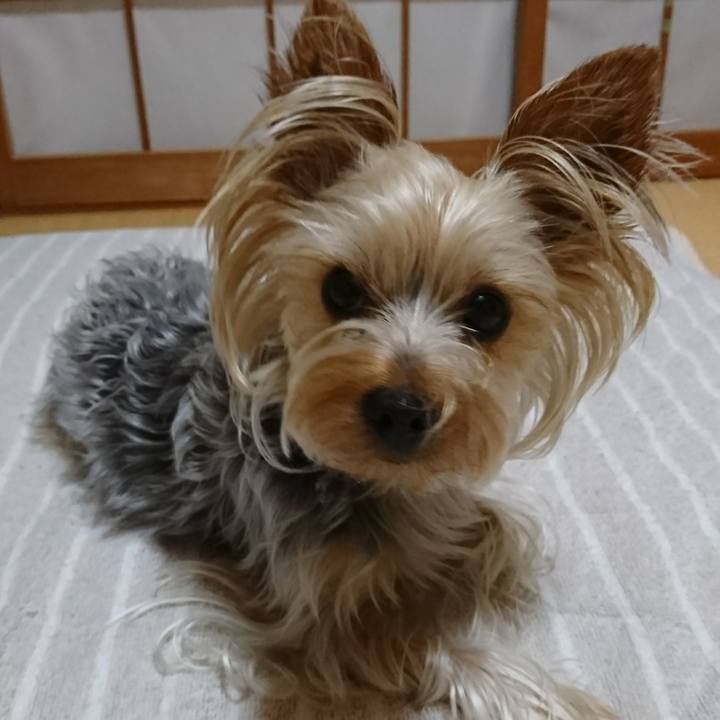 B7d9c106 7449 42fa 8536 eb6956c647b0 1530910472531