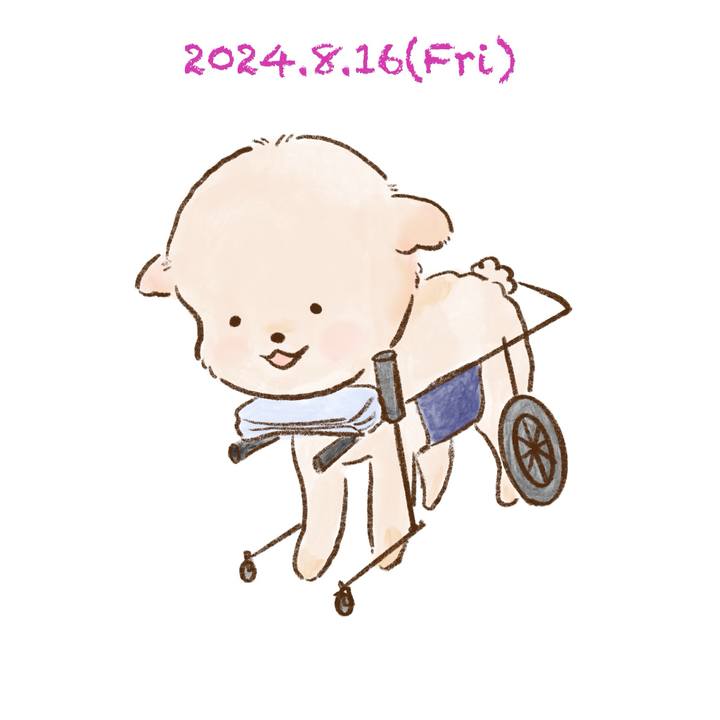 B7d9f4fc ea5b 4647 9ce4 acffda262437 1723807892916