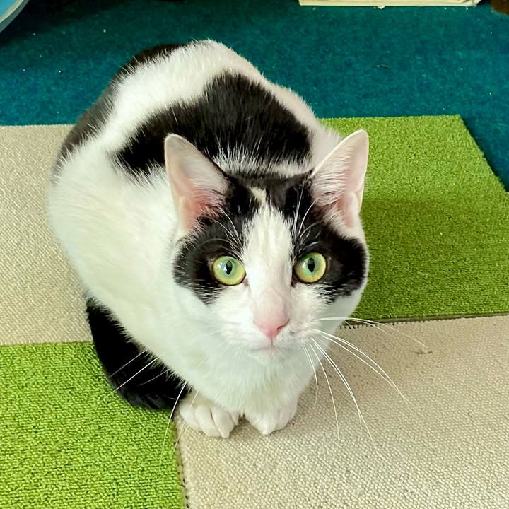 B7d9fac9 895d 4801 a96e a22af4c729ba 1681697005197