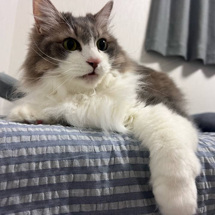 B7da1c96 9788 41bc 911a 16797579d66f 1756732656613