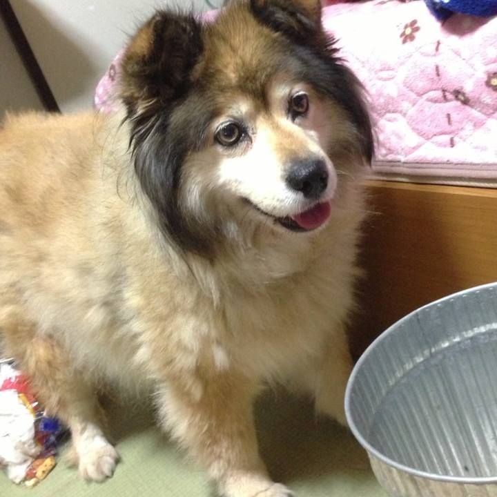 B7da35d3 40d0 4418 871c 5699bc02ff0b 1602204216753