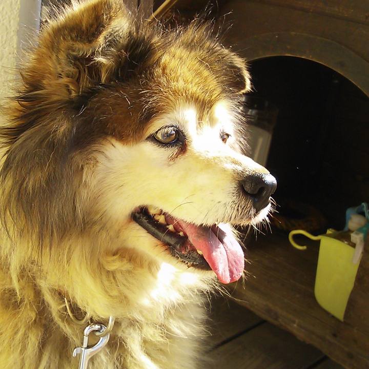 B7dac22f 8e20 4eee 9d6f 24392f1909b5 1583277913045