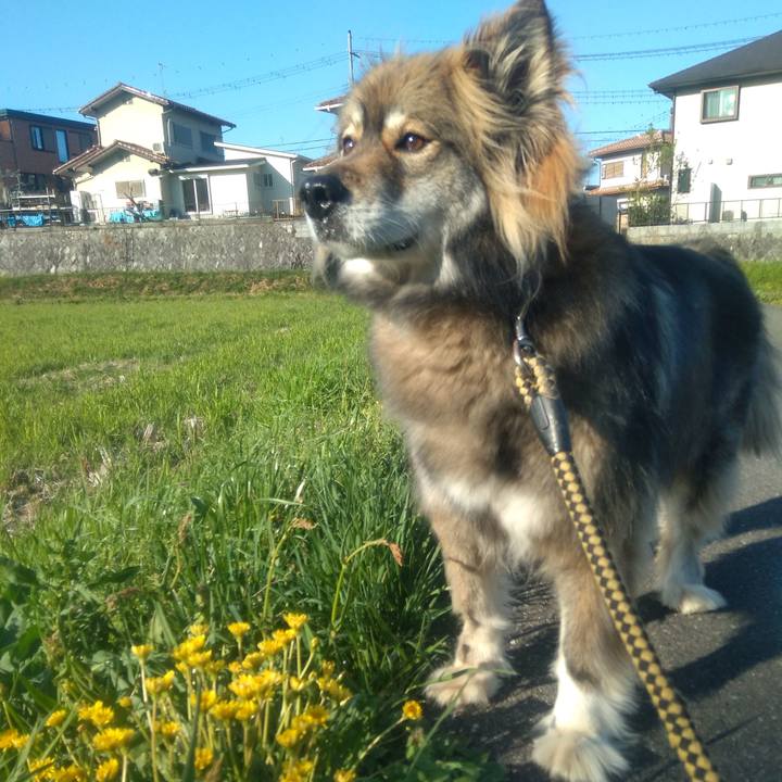 B7dadda7 5f31 471d afe6 7421b5ebbee2 1650116882930