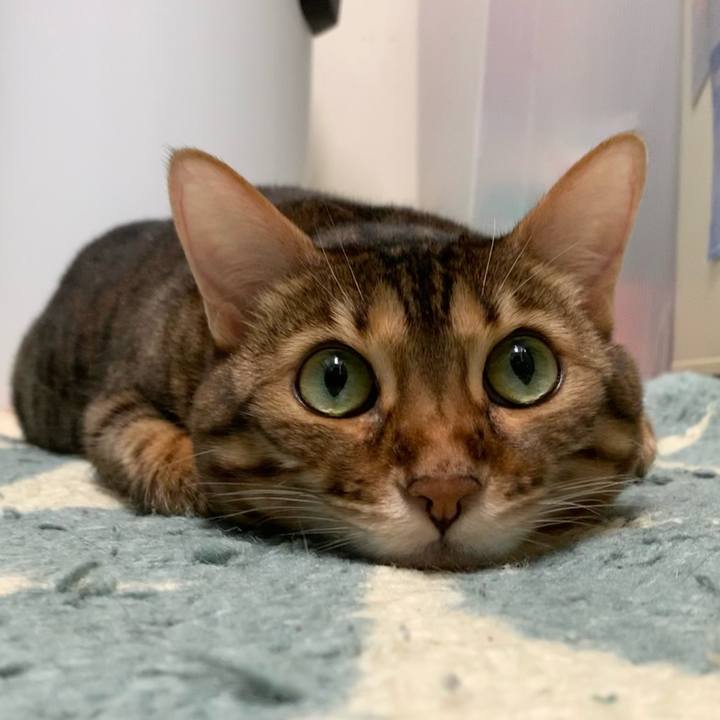 B7db5006 e035 44b6 9df9 9a5687f68a19 1620173651087