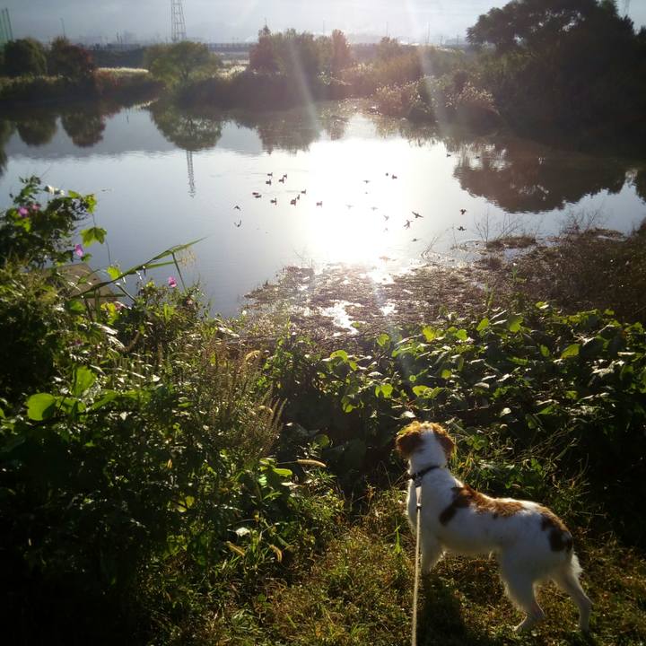 B7dba7ec c727 41c9 8eb8 6fa635e748fc 1510531447548