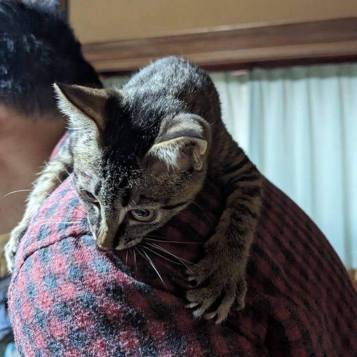 B7dbf9e9 f39e 442d a615 82890d64b9a5 1703569841757