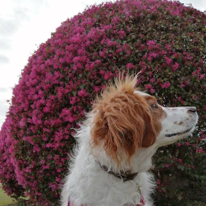 B7dc0b15 3d3e 4c1a af2f de7f8c921fdc 1586260133269