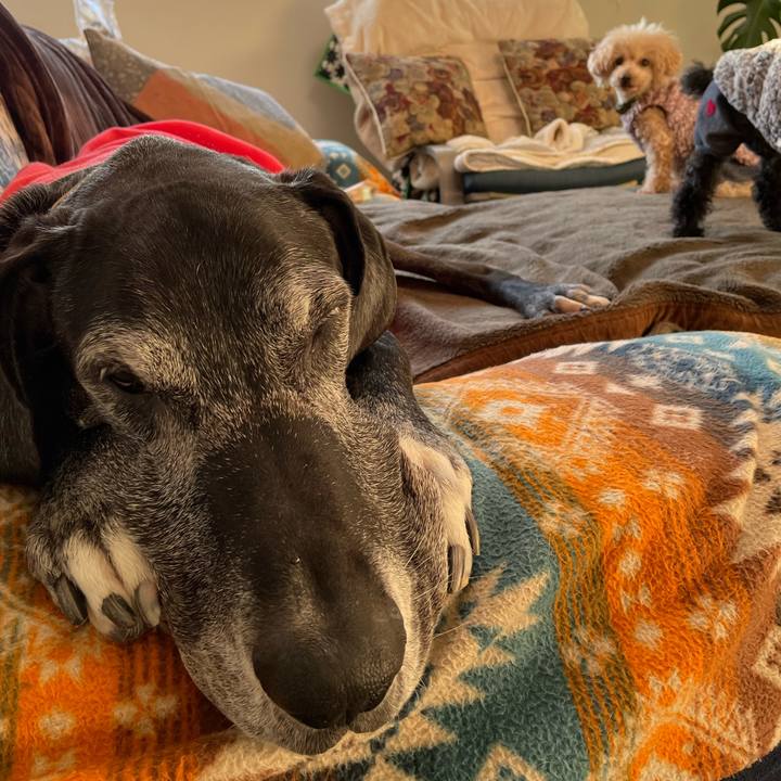 B7dc2755 fc8a 4b18 8b5e 9f81717a4fb1 1642459213461