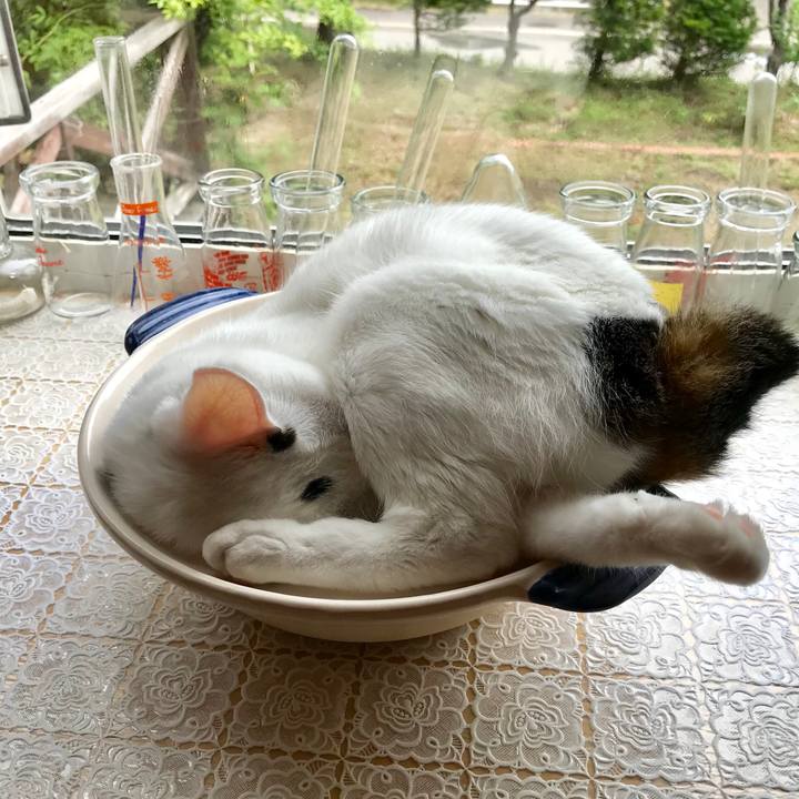 B7dc57e3 4398 437d a200 110835462412 1564203133723