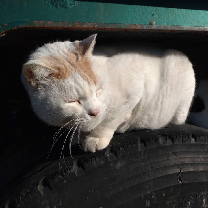 B7dc5dc6 d176 4bf7 a4dc 8626b7c886c1 1732500524908