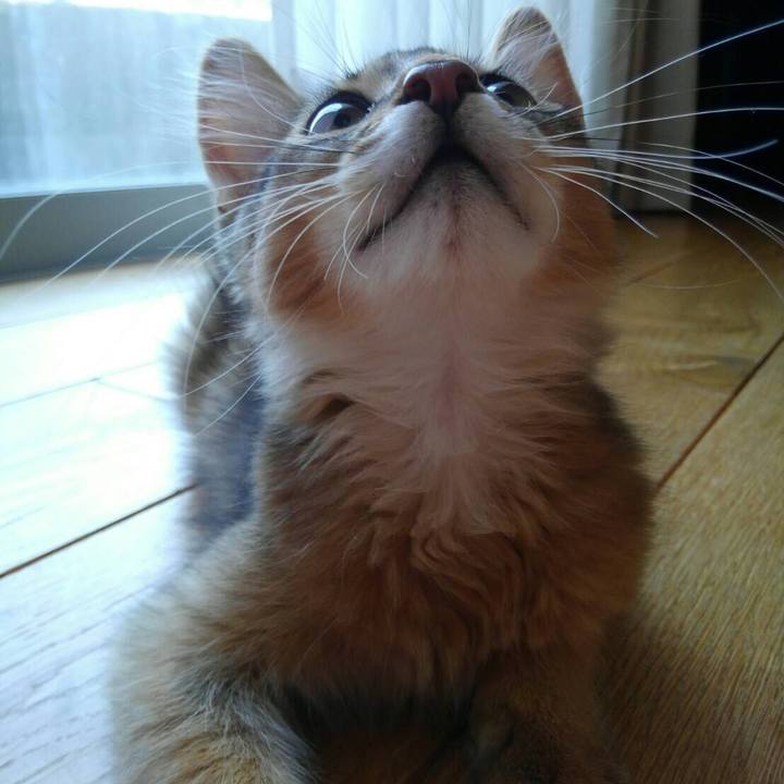 B7dc7395 7d76 4a37 aa15 8aabb66bd369 1564289885173