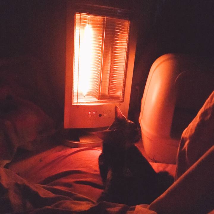 B7dc7e2f 6113 40ca 8de5 8e68ae6d5322 1543234621610