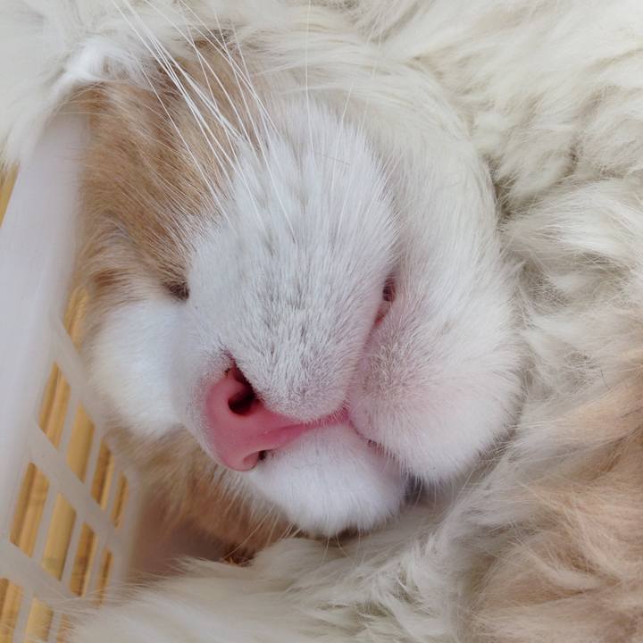 B7dca06c 9057 41f6 89e4 ddbd4ea300dd 1511571342563