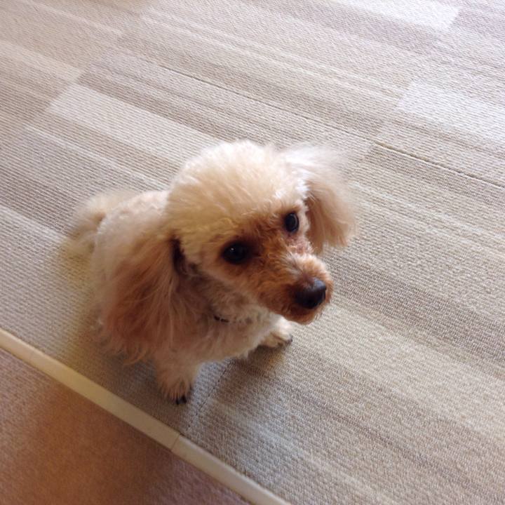 B7dcbe3b 59aa 4ecf 883f 80ab32a40dba 1515658571988