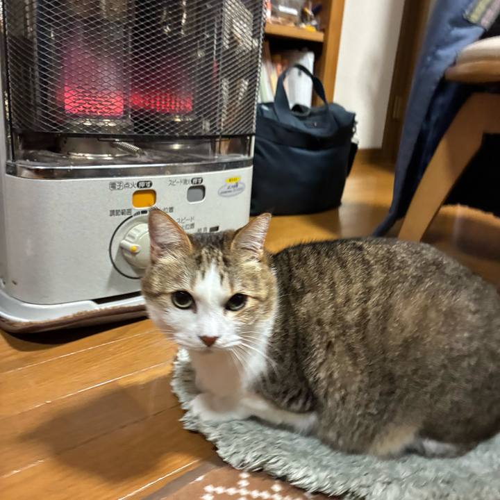 B7dcd219 a73f 420c 85a8 b0f69045e0b9 1764838245722