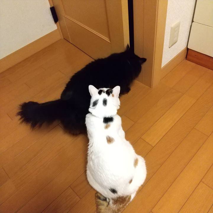 B7dd052b 35ea 4caa be77 aaeedd5d901a 1579361140626