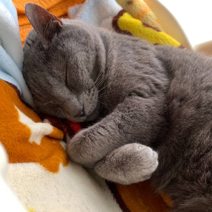 B7dd1f6e ed31 48f5 9938 1a84f18701e4 1615622377601