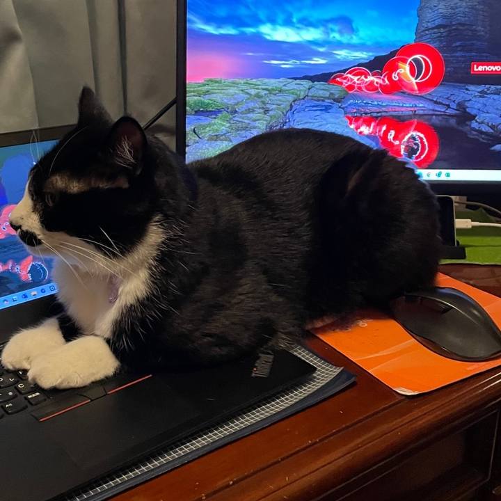 B7dd39f9 a87b 4a11 8dcf 73d08eaa7f68 1712491161714