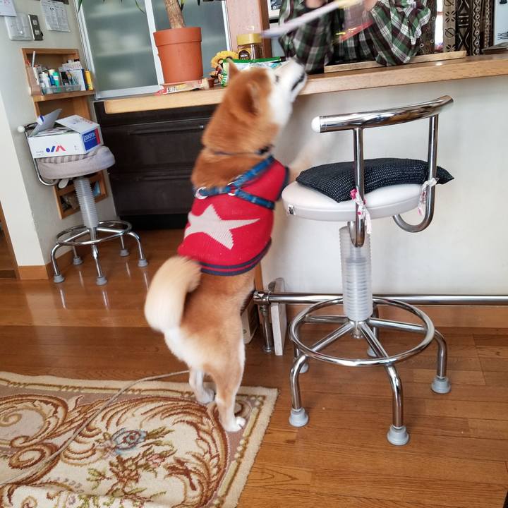 B7dd5741 8634 4314 89fb 5250d8ffcd5d 1552528714882