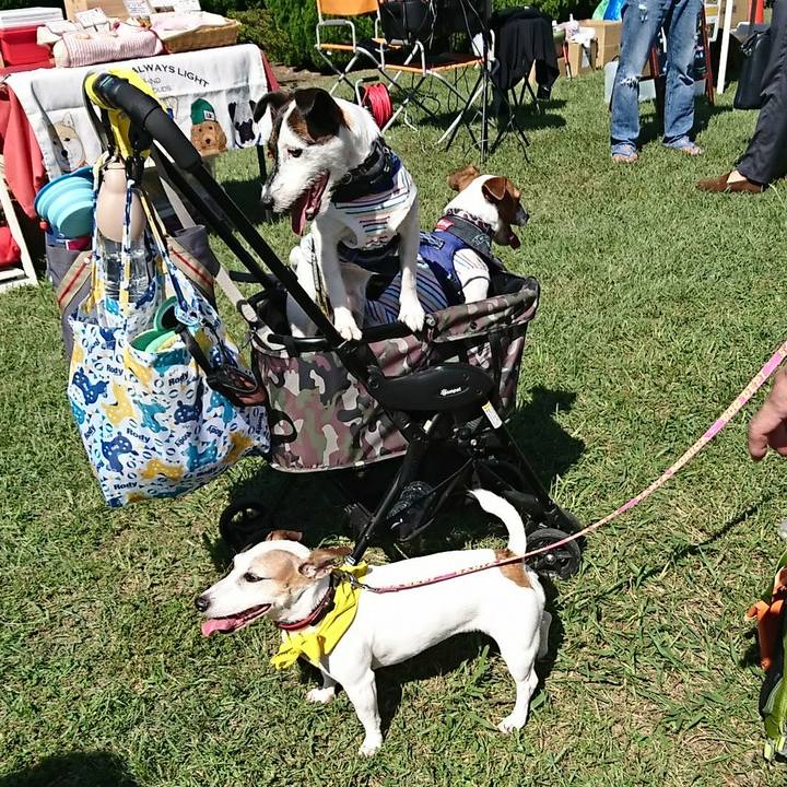 B7dd6b21 330e 4a7a 9f93 365273c393c5 1538899043231