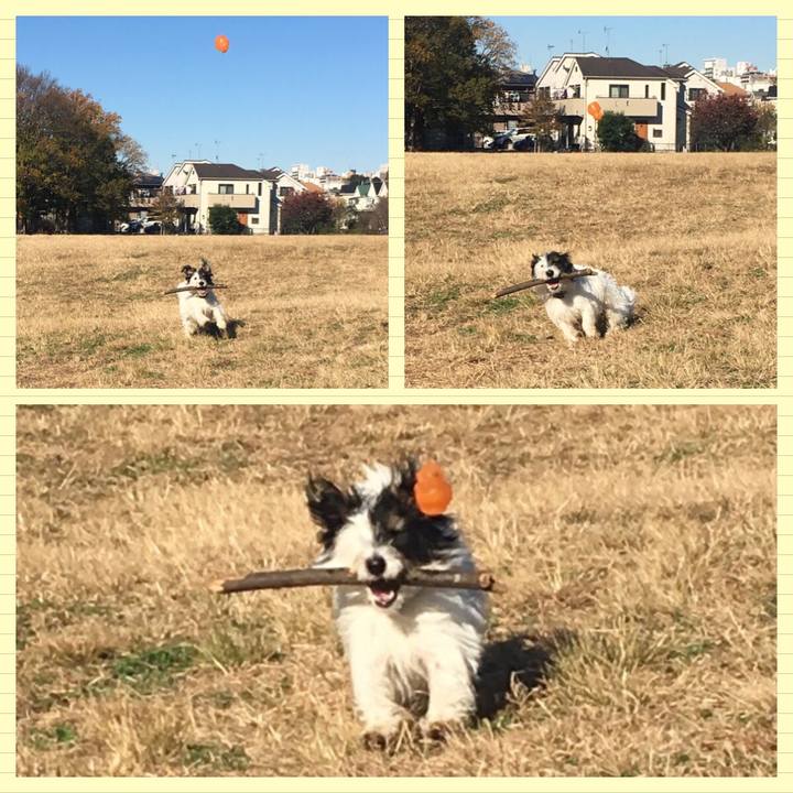 B7dd890b 7eae 4db4 9de3 7f93452c45f9 1511820174619