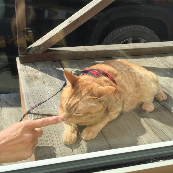 B7ddbb13 5160 4c70 9593 0cec6704f284 1521988616878