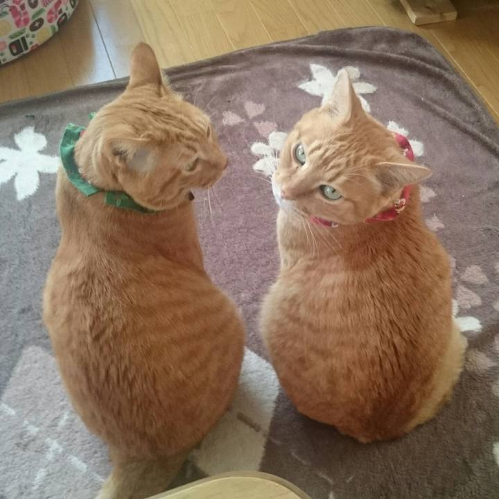 B7ddd03c 6b63 4d11 a15a fb1e933085d5 1513851189829