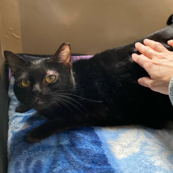 B7ddd5ce 1284 4478 afa7 c1c187cba438 1649842307398