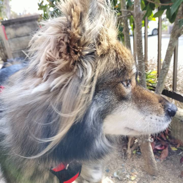 B7de1942 be71 492f a50f a664c6023534 1708952852472