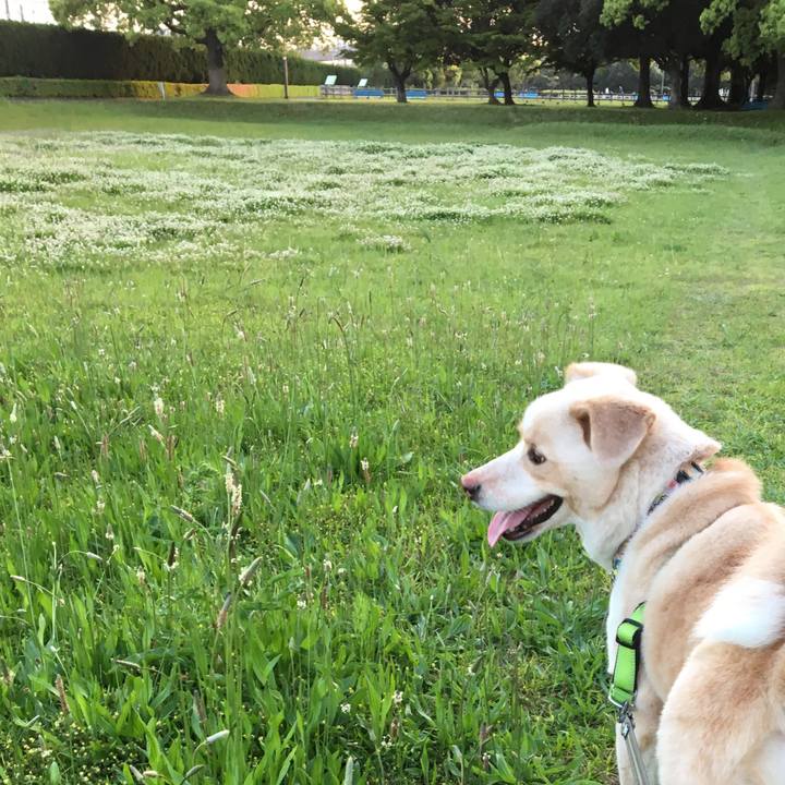 B7de31e1 94ea 4de8 a120 a4d9bf67a4e4 1524911132804