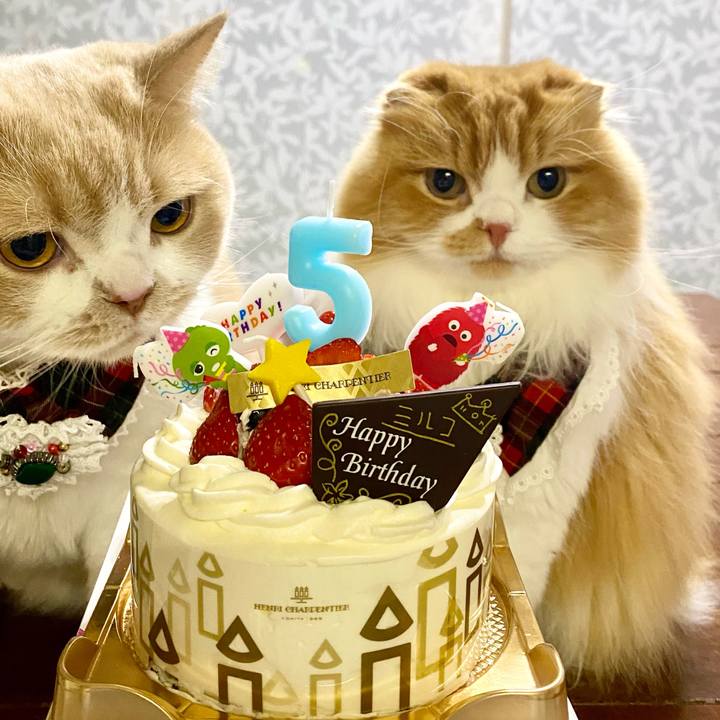 B7de5494 4bbd 422c 8979 90e0d3a0f29e 1668745051247