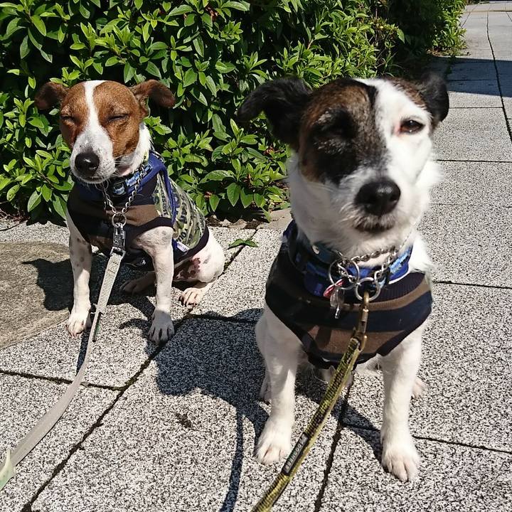 B7de9150 3146 4883 bfdc 412675930589 1590708946688