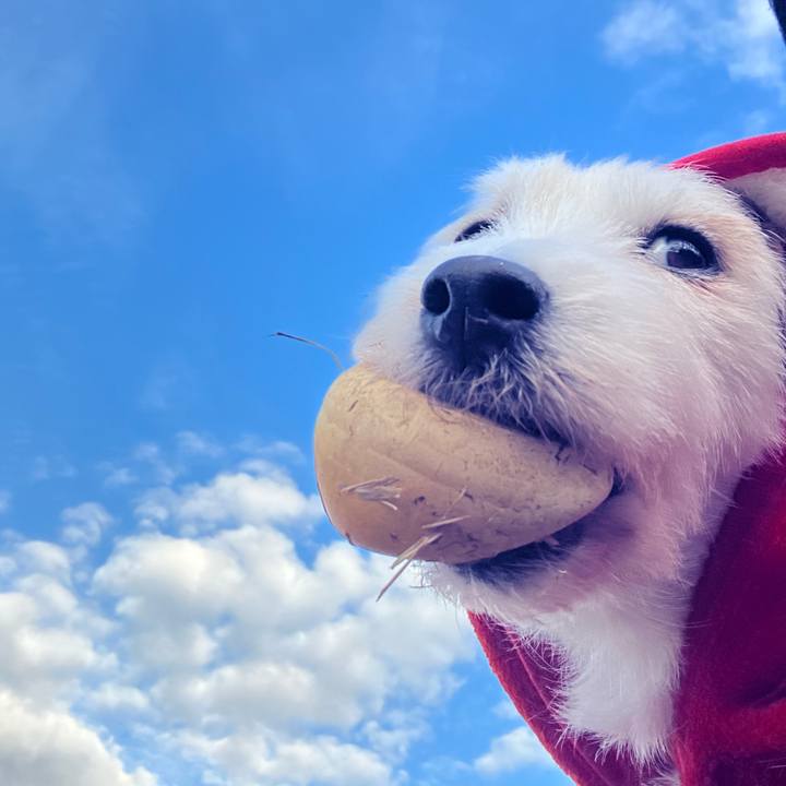 B7deb1c3 db27 42c1 88d8 ebb75dcf5c91 1672196311383