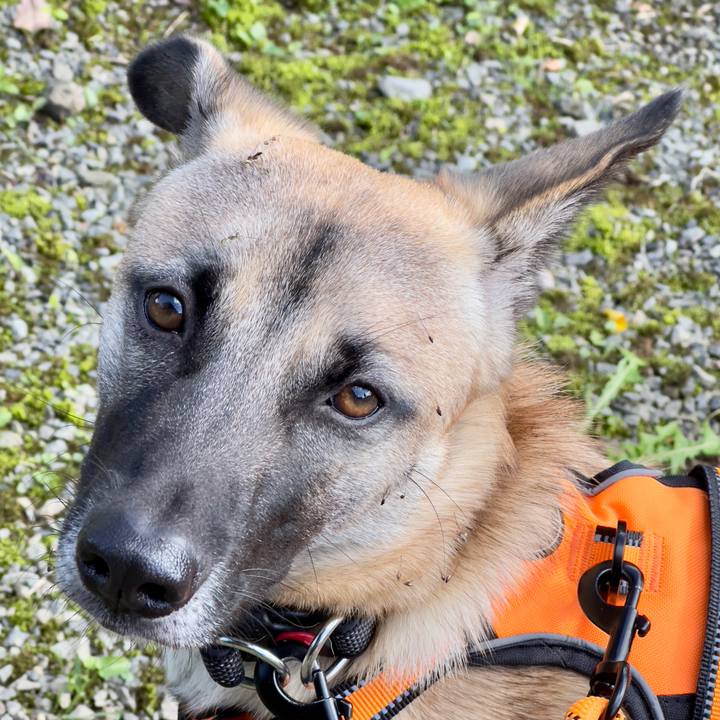 B7debfae 9223 4bab 9bab c9c6105a677a 1731404853682