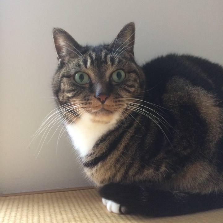 B7decb26 a4a7 4bfb bcd6 d67ad13d2a36 1517708563776