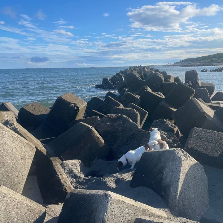 B7ded603 a77c 41c2 bc0e 7f73127c3855 1757462389902