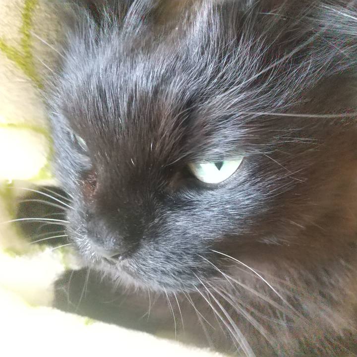 B7df16b7 49bd 42a9 ab81 18832f44e39c 1618787858288