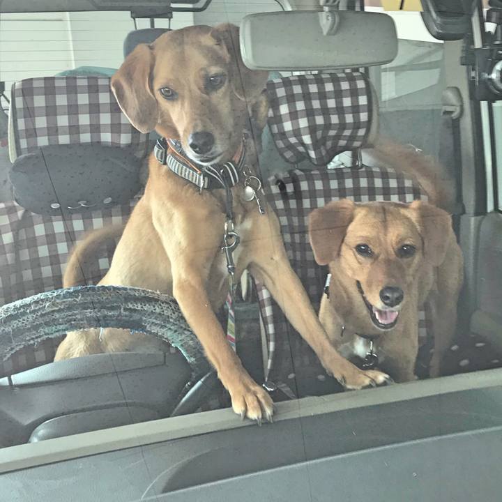 B7df6675 eeee 45d9 9d2e 05b3db5e218d 1526109023538